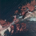 Kelp Beds Anacapa Island