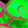 Salt Pond NDVI